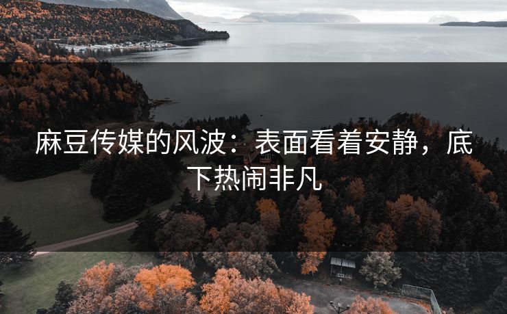 麻豆传媒的风波：表面看着安静，底下热闹非凡