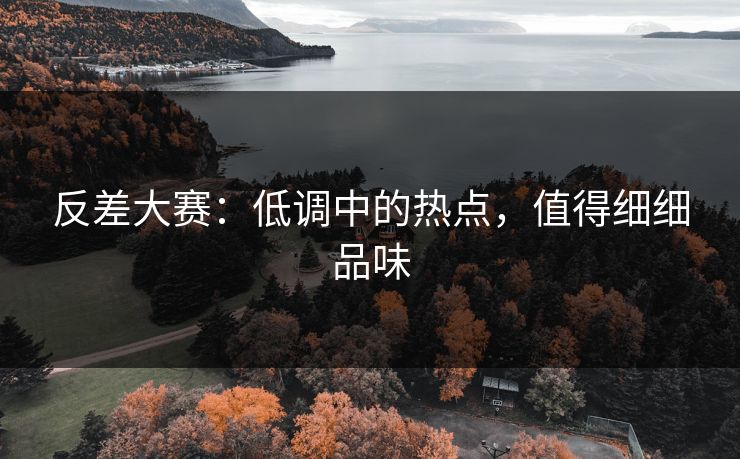 反差大赛：低调中的热点，值得细细品味