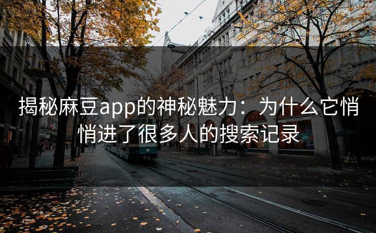 揭秘麻豆app的神秘魅力：为什么它悄悄进了很多人的搜索记录